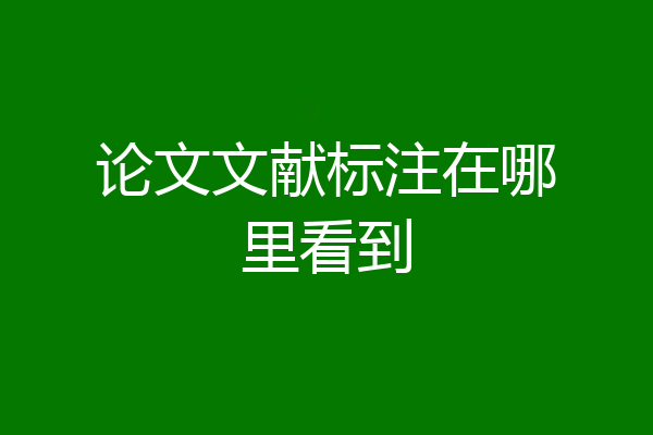论文文献标注在哪里看到