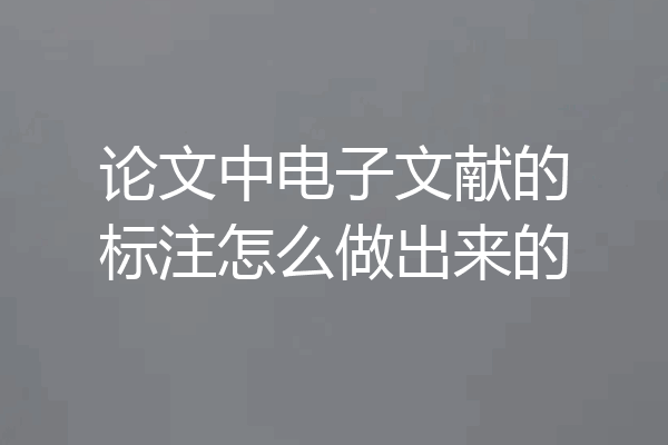 论文中电子文献的标注怎么做出来的