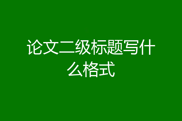 论文二级标题写什么格式