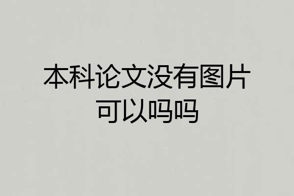 本科论文没有图片可以吗吗