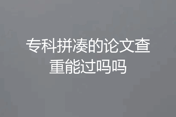 专科拼凑的论文查重能过吗吗