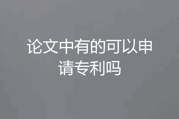 论文中有的可以申请专利吗
