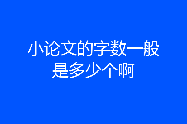 小论文的字数一般是多少个啊