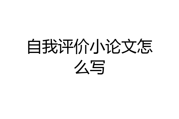 自我评价小论文怎么写