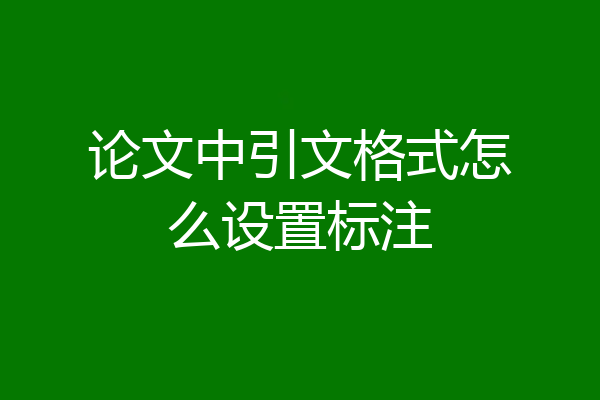 论文中引文格式怎么设置标注