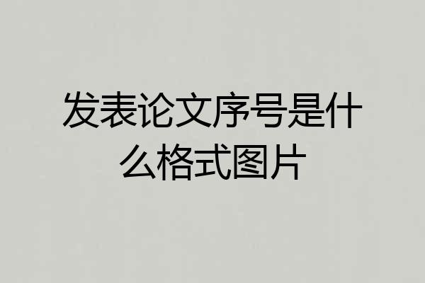 发表论文序号是什么格式图片