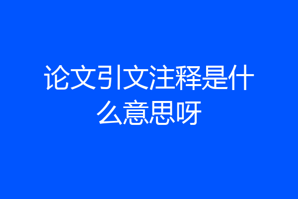 论文引文注释是什么意思呀