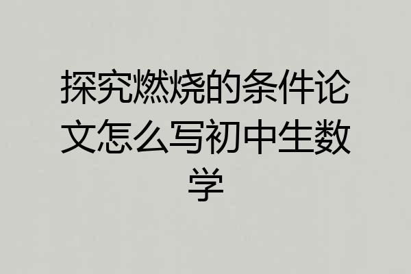 探究燃烧的条件论文怎么写初中生数学