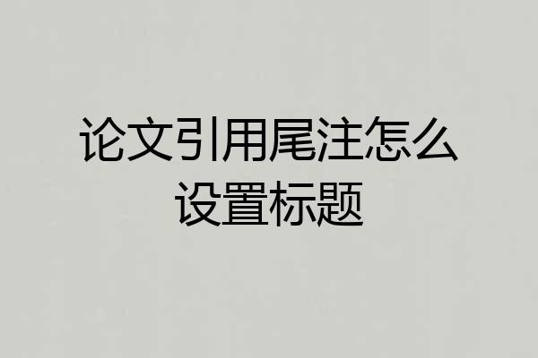 论文引用尾注怎么设置标题