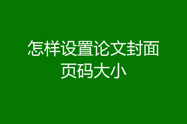怎样设置论文封面页码大小