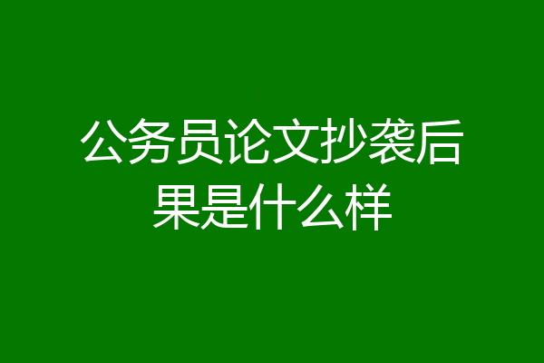 公务员论文抄袭后果是什么样