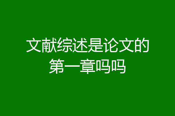 文献综述是论文的第一章吗吗