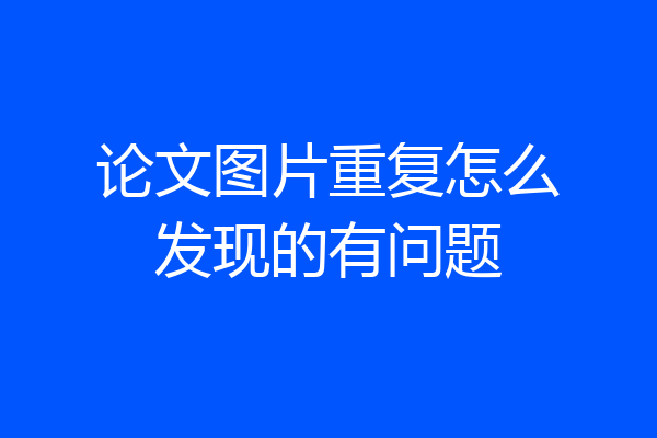 论文图片重复怎么发现的有问题