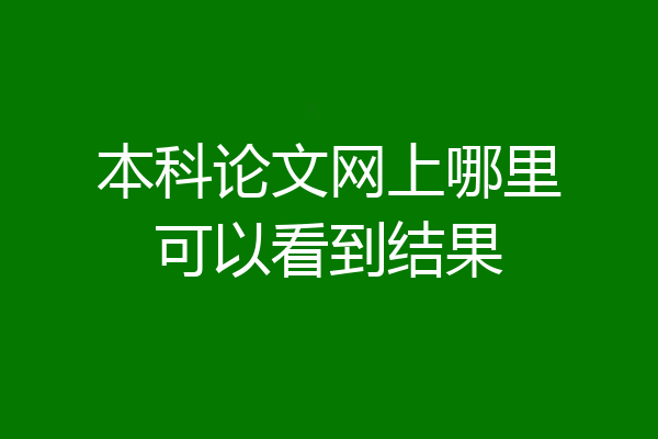 本科论文网上哪里可以看到结果
