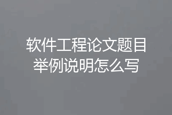 软件工程论文题目举例说明怎么写
