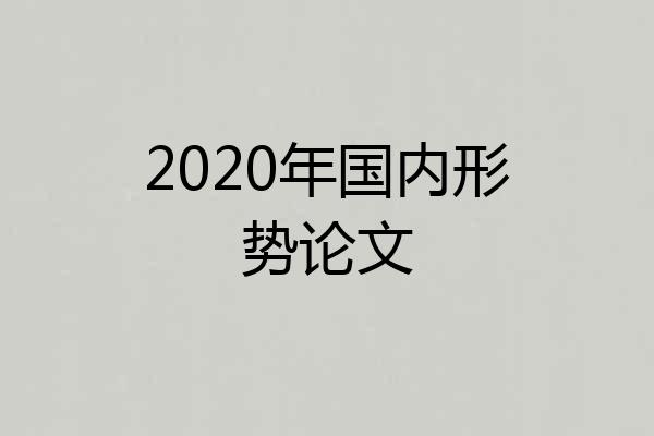 2020年国内形势论文