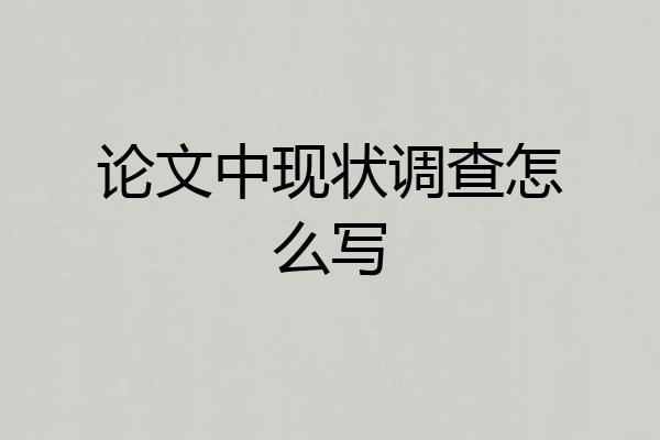 论文中现状调查怎么写