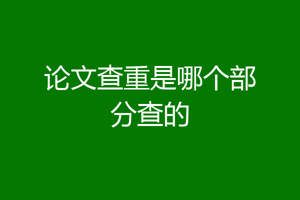 论文查重是哪个部分查的