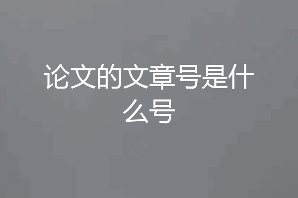 论文的文章号是什么号