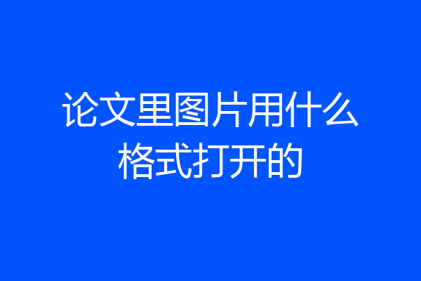 论文里图片用什么格式打开的