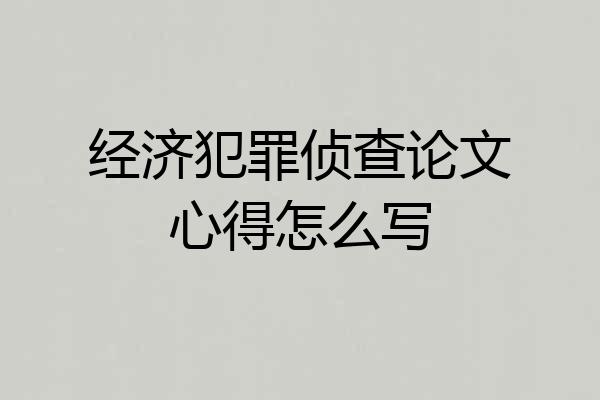 经济犯罪侦查论文心得怎么写
