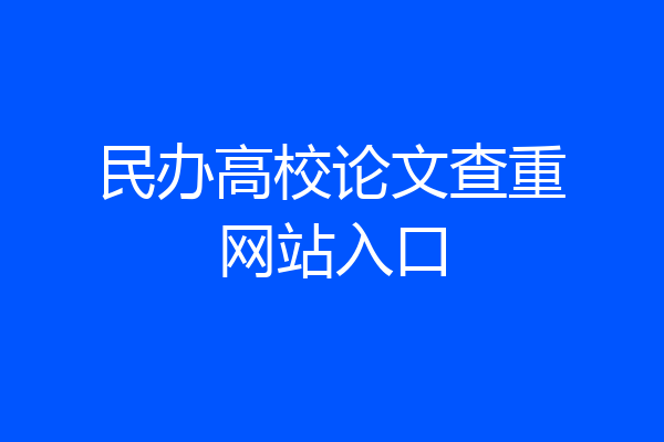 民办高校论文查重网站入口