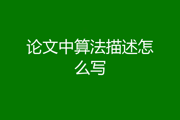 论文中算法描述怎么写