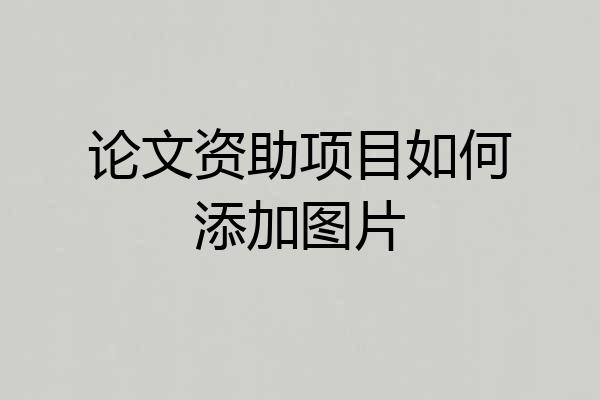 论文资助项目如何添加图片