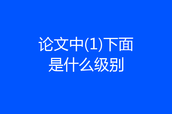 论文中(1)下面是什么级别