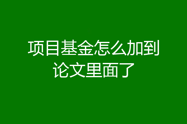 项目基金怎么加到论文里面了