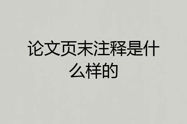 论文页末注释是什么样的
