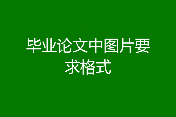 毕业论文中图片要求格式