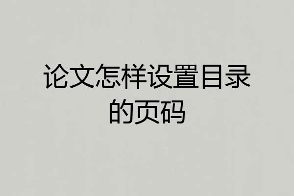论文怎样设置目录的页码