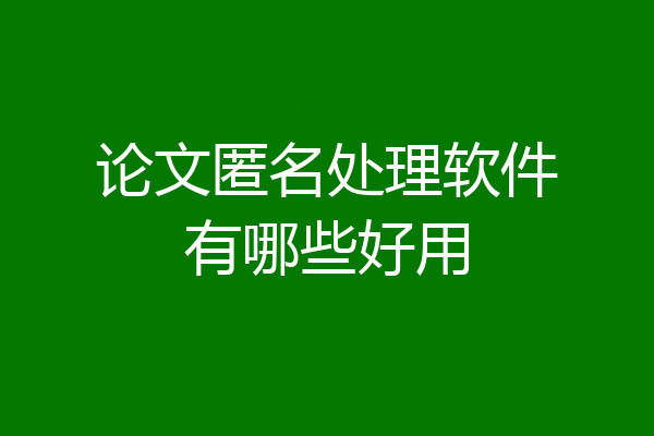 论文匿名处理软件有哪些好用