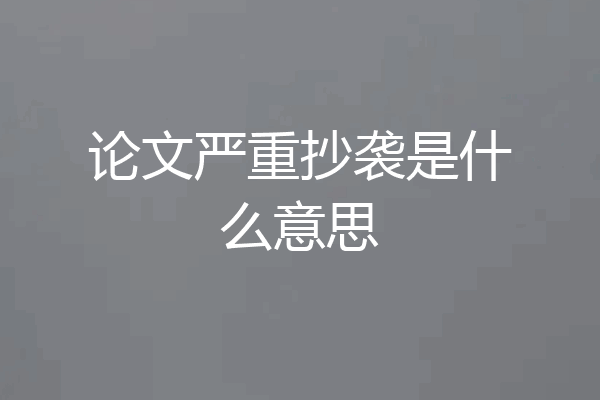 论文严重抄袭是什么意思