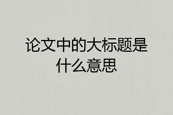 论文中的大标题是什么意思