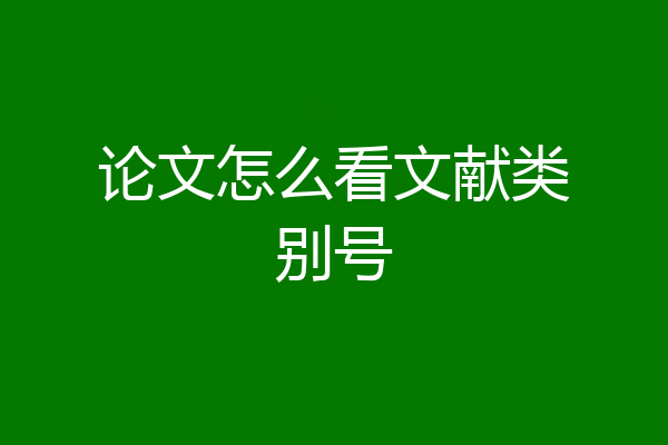 论文怎么看文献类别号