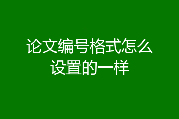 论文编号格式怎么设置的一样