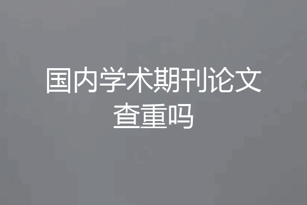 国内学术期刊论文查重吗