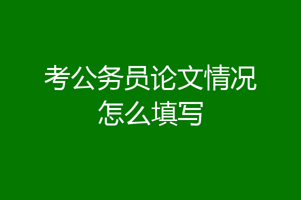 考公务员论文情况怎么填写