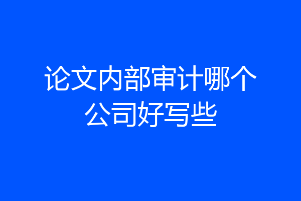 论文内部审计哪个公司好写些