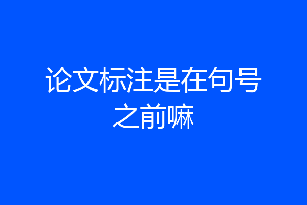 论文标注是在句号之前嘛