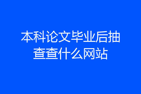 本科论文毕业后抽查查什么网站