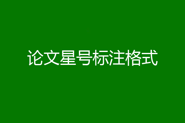 论文星号标注格式
