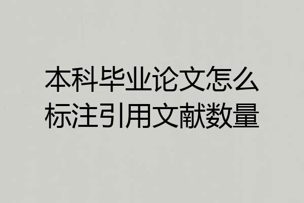 本科毕业论文怎么标注引用文献数量
