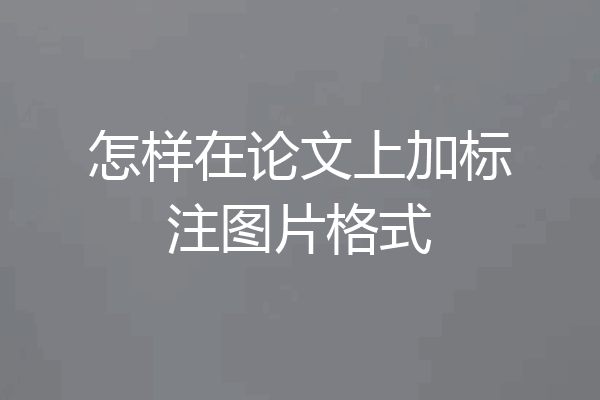 怎样在论文上加标注图片格式