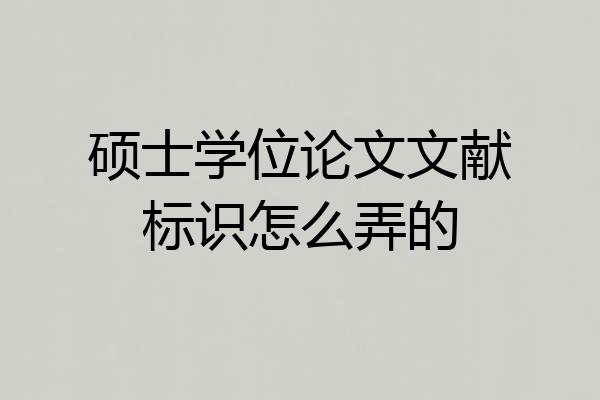 硕士学位论文文献标识怎么弄的