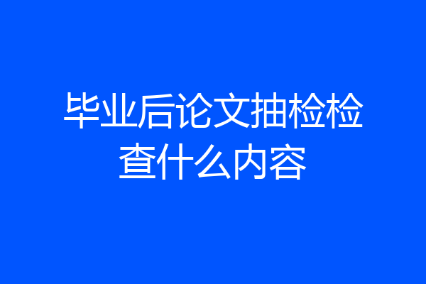 毕业后论文抽检检查什么内容