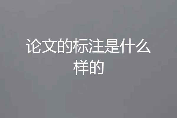 论文的标注是什么样的