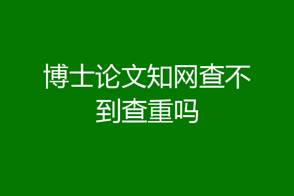 博士论文知网查不到查重吗